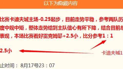 巅峰对决：王牌战队对垒多伦多节奏